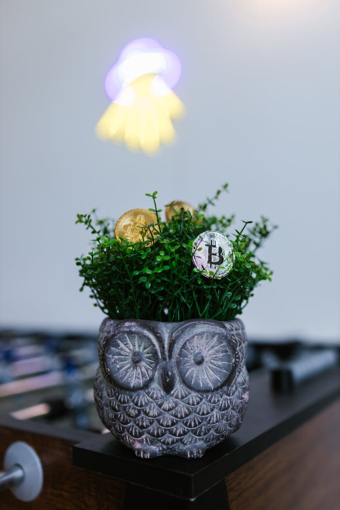 about-01 Owl-shaped planter with artificial greenery and Bitcoin coins, symbolizing modern investment.